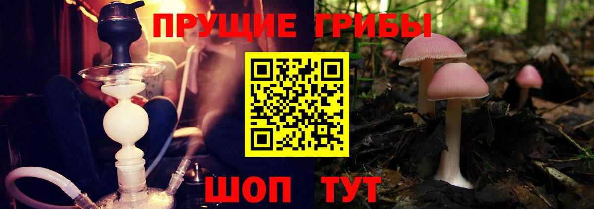Рассказово  Галлюциногенные грибы мицелий  Вход с VPN 